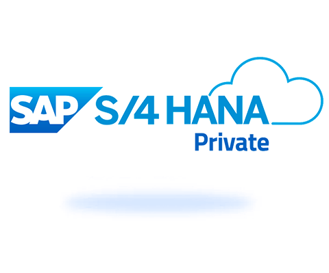sap s_4hana private